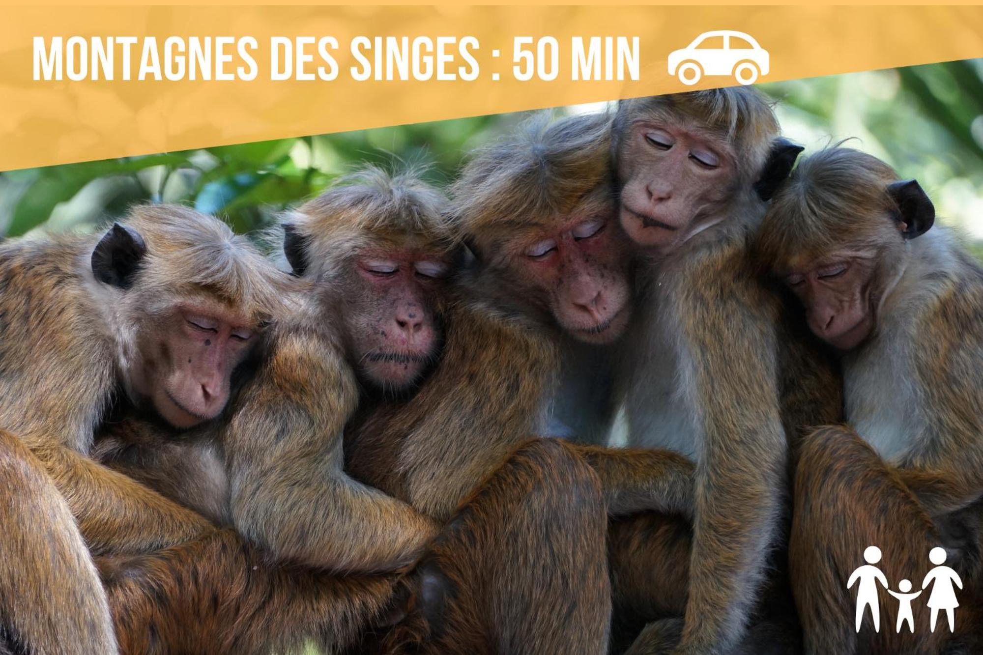 Lit Rond Tres Grand Et Confortable - Garage Possible Ou Parking Gratuit Rue - Gare 2 Min Et Ville 4 Min En Tram - Ciel Etoile - Netflix Videoprojecteur - Luxe Et Evasion Estrasburgo Exterior foto